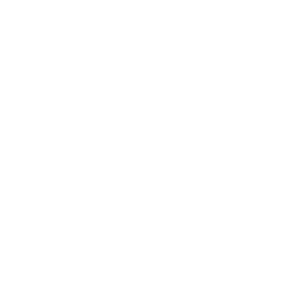 4 Globallocal Digital