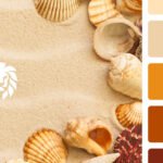 Color Palate for Brand Identity